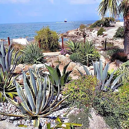 Rododafni Paphos