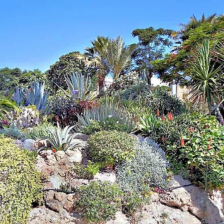 Rododafni 4* Paphos