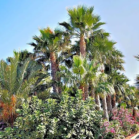 Rododafni Paphos