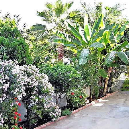 Rododafni 4* Paphos